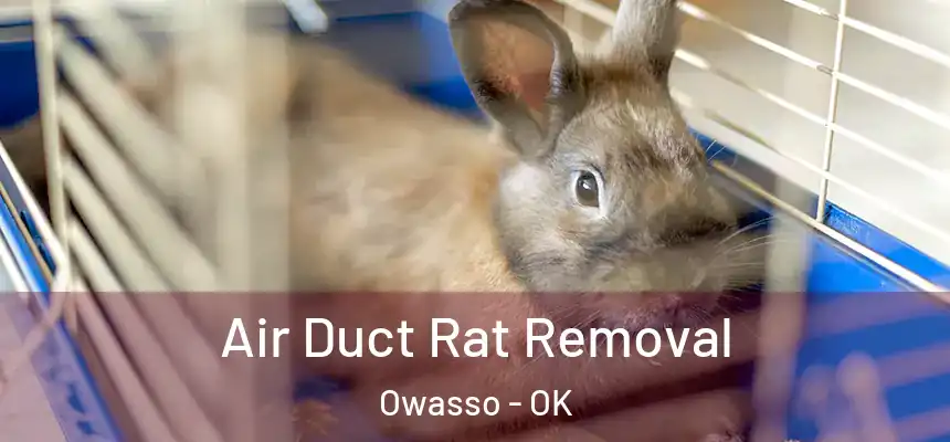  Air Duct Rat Removal Owasso - OK