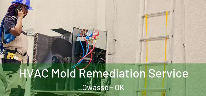  HVAC Mold Remediation Service Owasso - OK