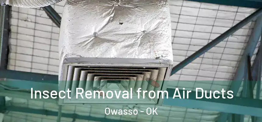  Insect Removal from Air Ducts Owasso - OK