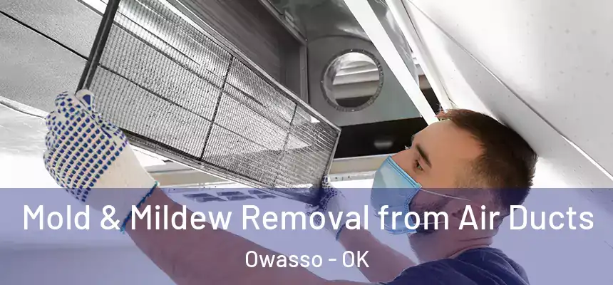  Mold & Mildew Removal from Air Ducts Owasso - OK