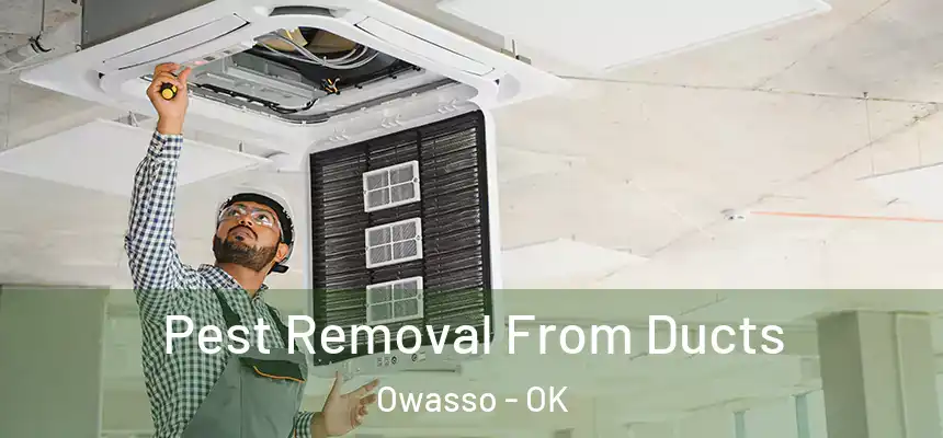  Pest Removal From Ducts Owasso - OK