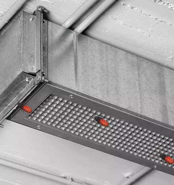 Affordable Insect Removal from Air Ducts in Owasso, OK